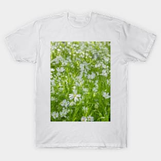 Wild Woodland Anenome T-Shirt